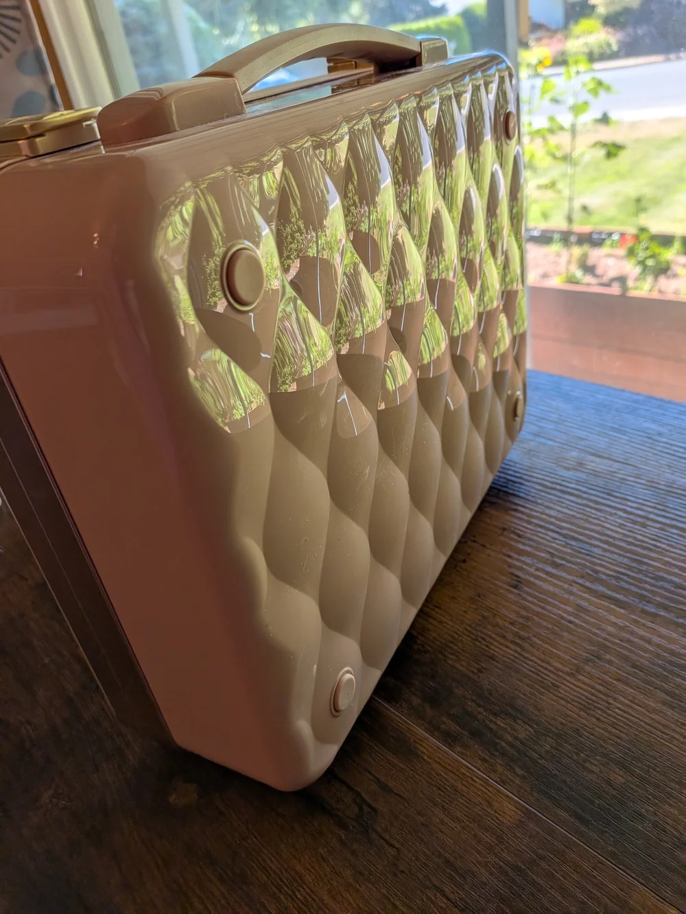 Pink Cosmetic Train Case